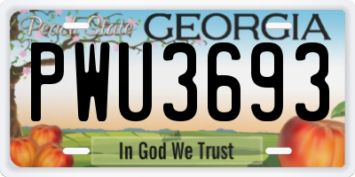 GA license plate PWU3693