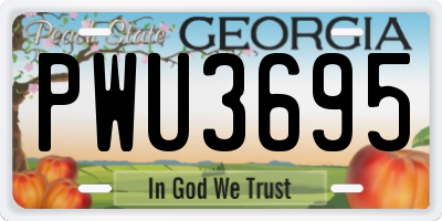 GA license plate PWU3695