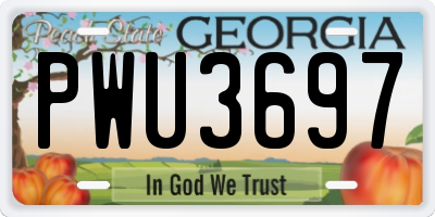 GA license plate PWU3697