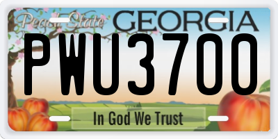 GA license plate PWU3700