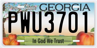 GA license plate PWU3701