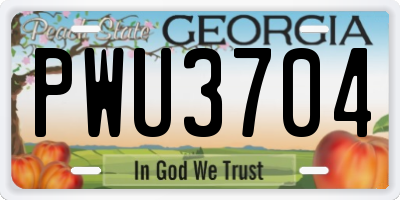 GA license plate PWU3704