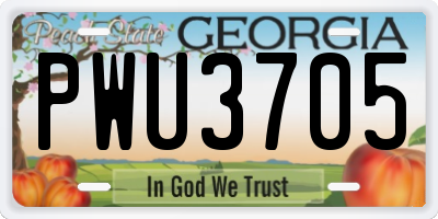 GA license plate PWU3705