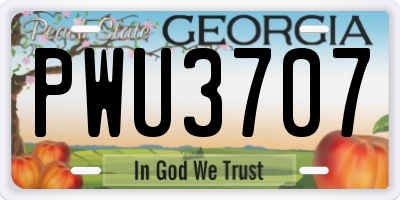 GA license plate PWU3707