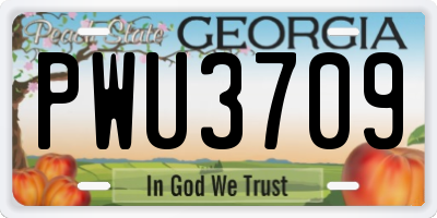 GA license plate PWU3709