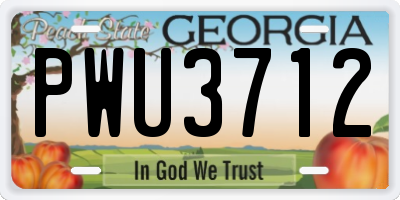 GA license plate PWU3712
