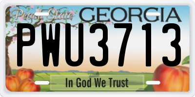 GA license plate PWU3713