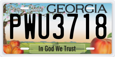 GA license plate PWU3718