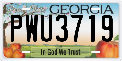 GA license plate PWU3719