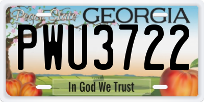 GA license plate PWU3722