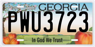 GA license plate PWU3723