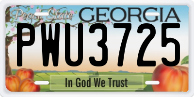 GA license plate PWU3725