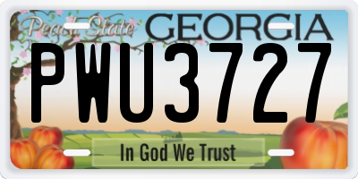 GA license plate PWU3727