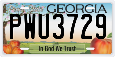 GA license plate PWU3729