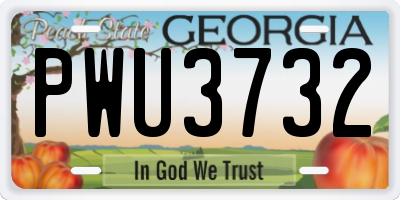 GA license plate PWU3732
