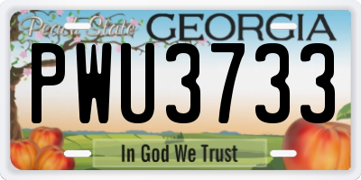 GA license plate PWU3733