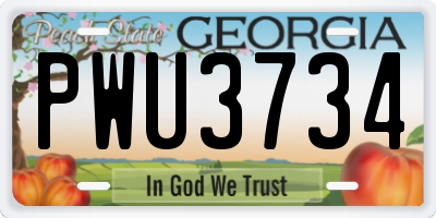 GA license plate PWU3734