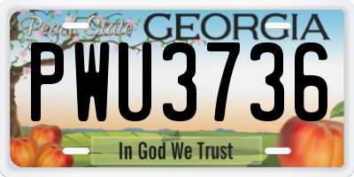 GA license plate PWU3736