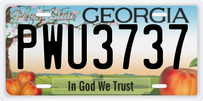 GA license plate PWU3737