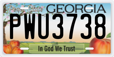GA license plate PWU3738