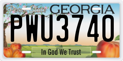 GA license plate PWU3740