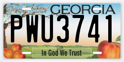 GA license plate PWU3741