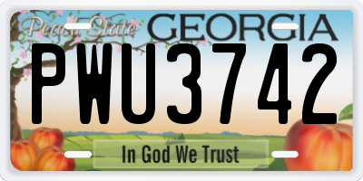 GA license plate PWU3742