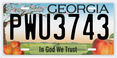GA license plate PWU3743