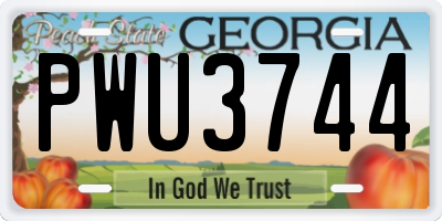 GA license plate PWU3744