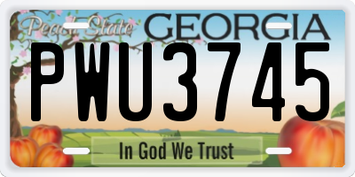 GA license plate PWU3745