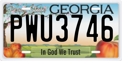 GA license plate PWU3746