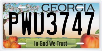 GA license plate PWU3747