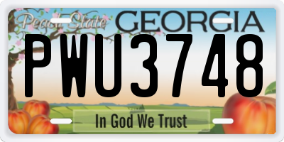 GA license plate PWU3748