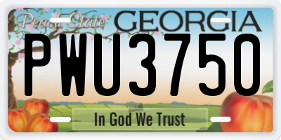 GA license plate PWU3750