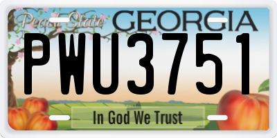 GA license plate PWU3751
