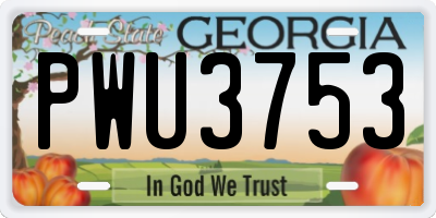 GA license plate PWU3753
