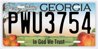 GA license plate PWU3754