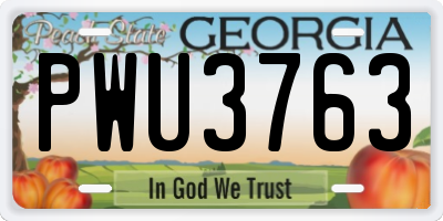 GA license plate PWU3763