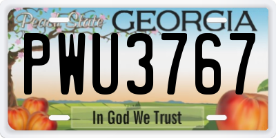 GA license plate PWU3767