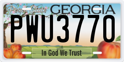 GA license plate PWU3770