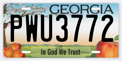 GA license plate PWU3772