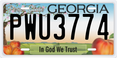 GA license plate PWU3774