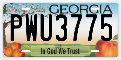 GA license plate PWU3775