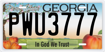 GA license plate PWU3777