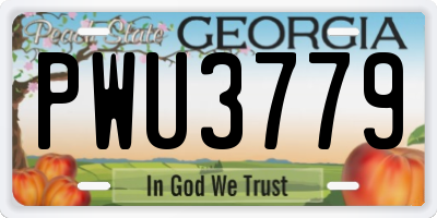 GA license plate PWU3779