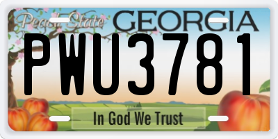 GA license plate PWU3781
