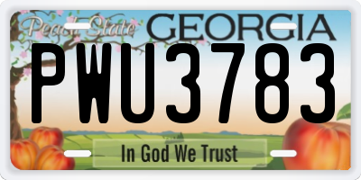 GA license plate PWU3783