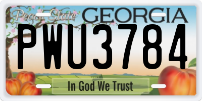 GA license plate PWU3784