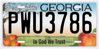 GA license plate PWU3786