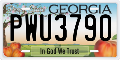 GA license plate PWU3790